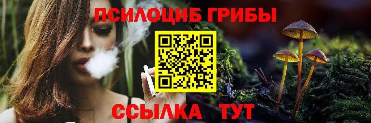 Галлюциногенные грибы Magic Shrooms Баксан