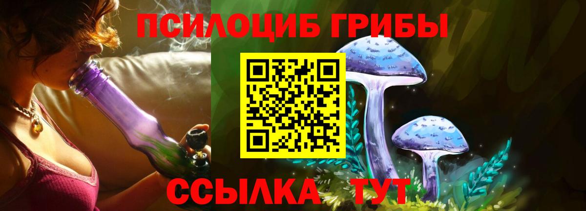 Галлюциногенные грибы мухоморы  где можно купить наркотик  Галлюциногенные грибы прущие грибы  Баксан  Вход с VPN 